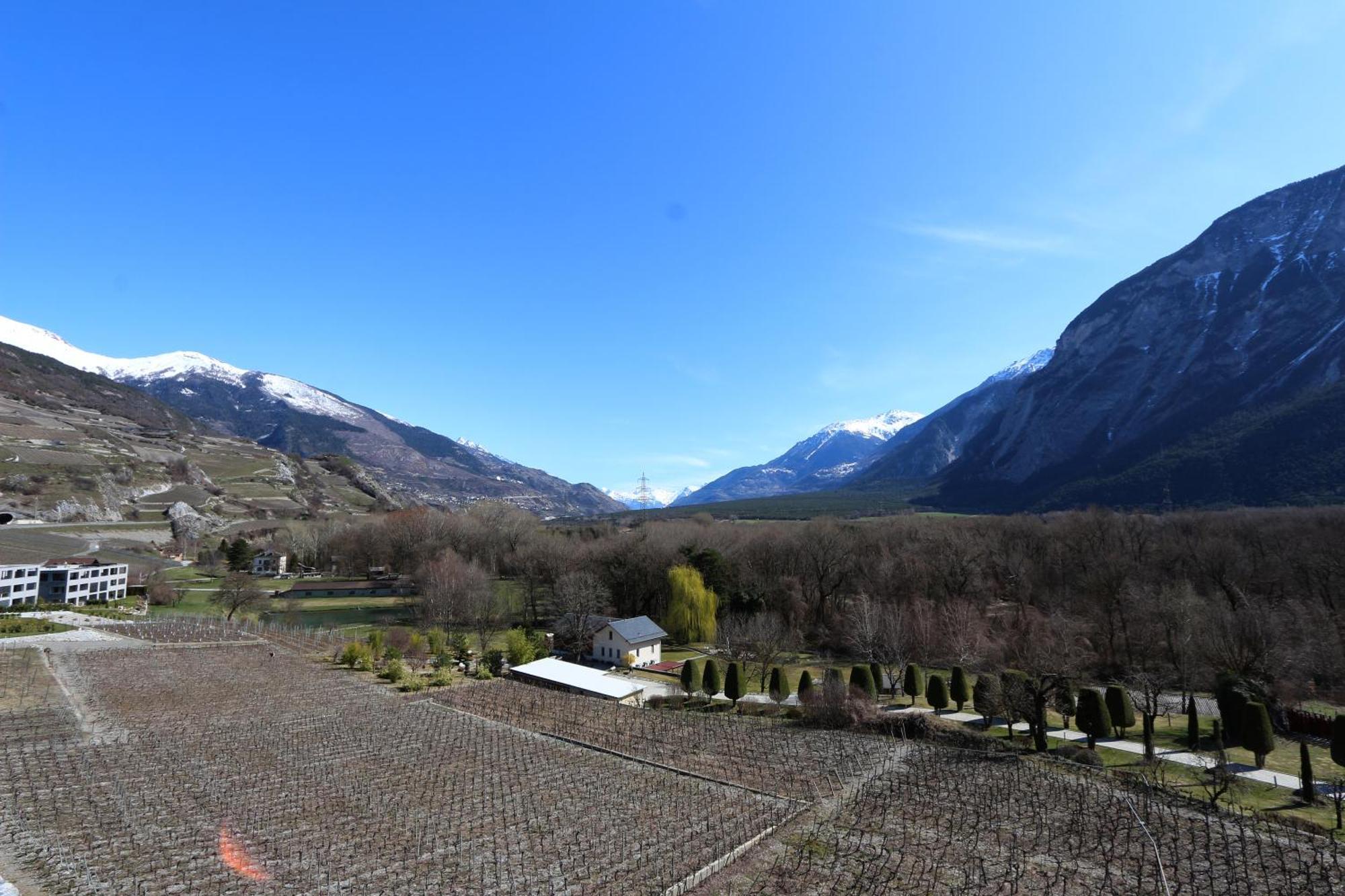 Bnb Vino Veritas Salgesch Exterior photo