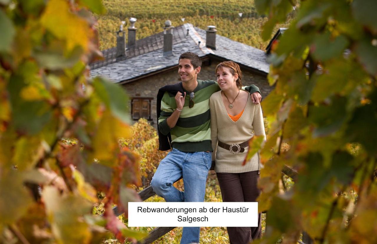 Bnb Vino Veritas Salgesch Exterior photo